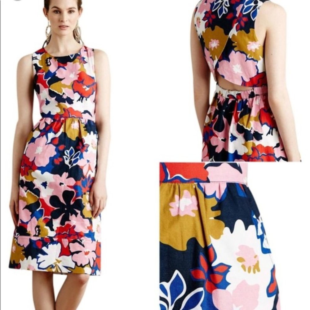 Petite Whit Anthropologie Floral Dress